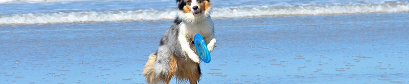 01_ConcoursPhotos_Belles_1_2015