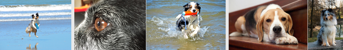 01_ConcoursPhotos_Belles_2015