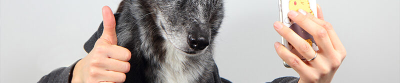 01_ConcoursPhotos_Cocasses_1_2017