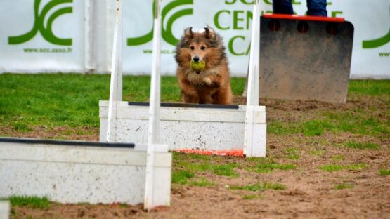 01_Installations_Agrés_Fly 01_Installations_Agrés_Fly