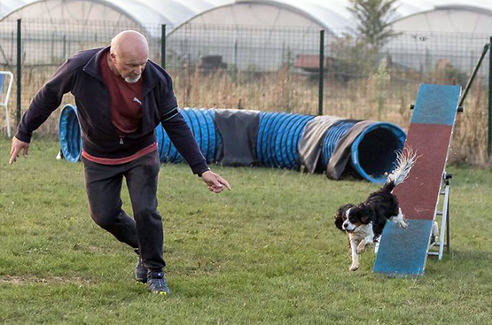 03_DIS_Agi_Comp_Gizmo