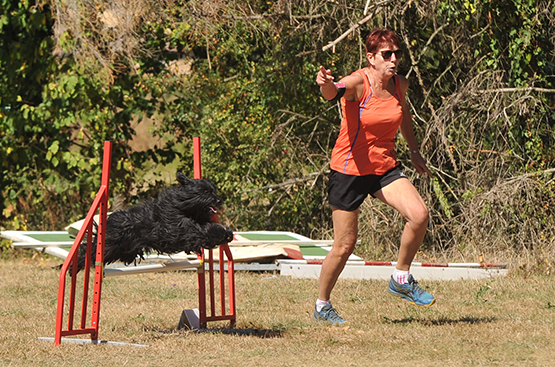 03_DIS_Agi_Comp_Mica