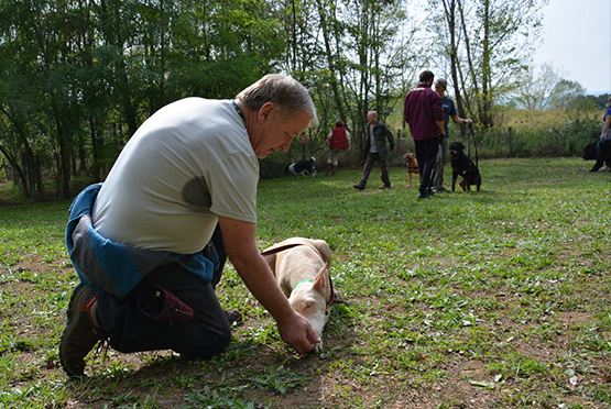 03_DIS_eco_chiot_ados