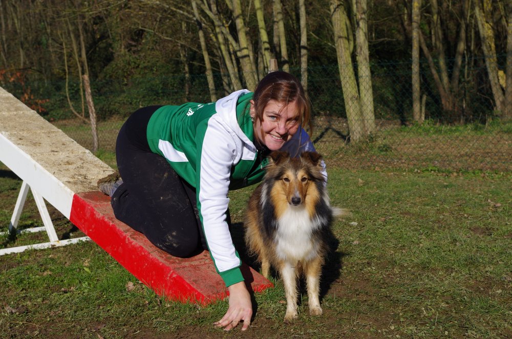 03_agi-2016_sofr_passe