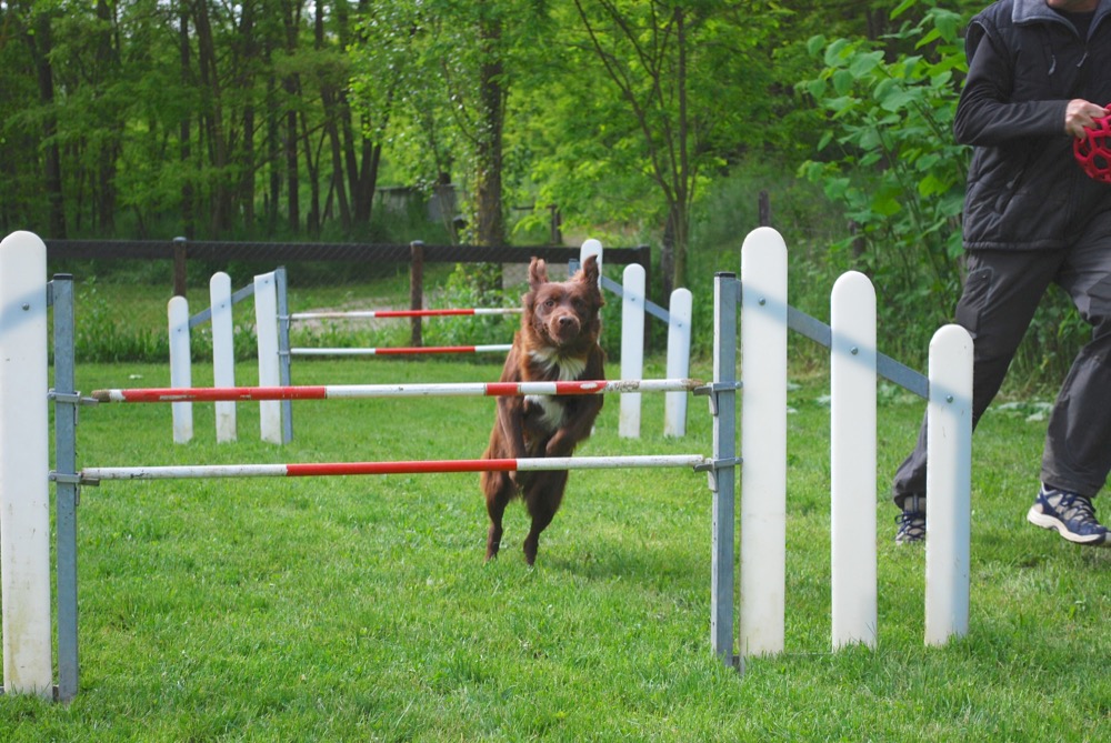 03_agi-alla_djune-entrain3