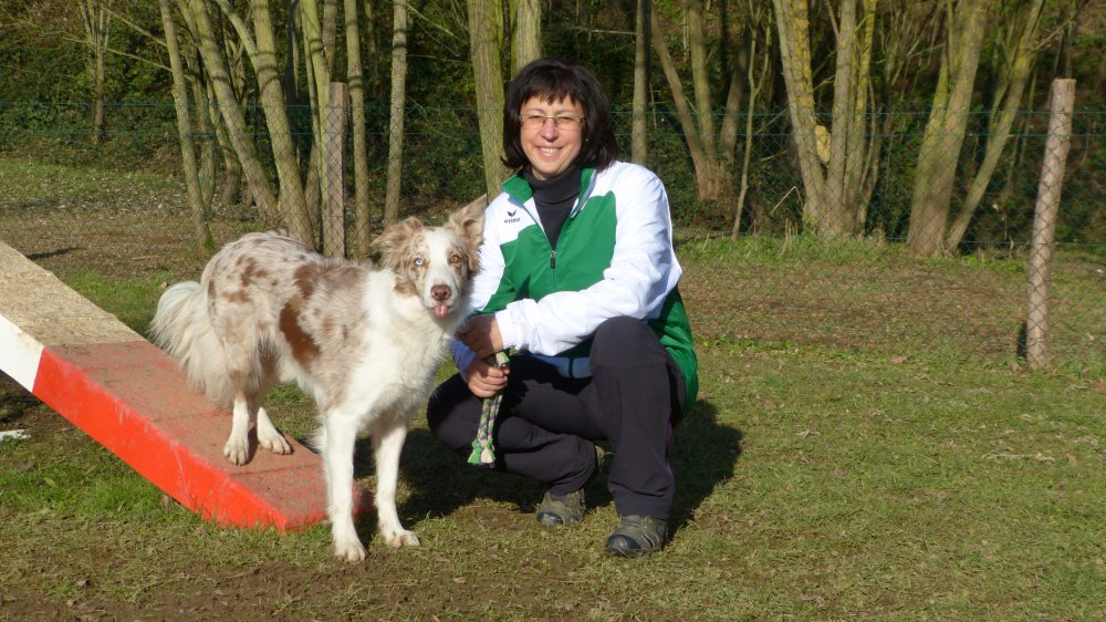 03_agi-2016-anjo_fool