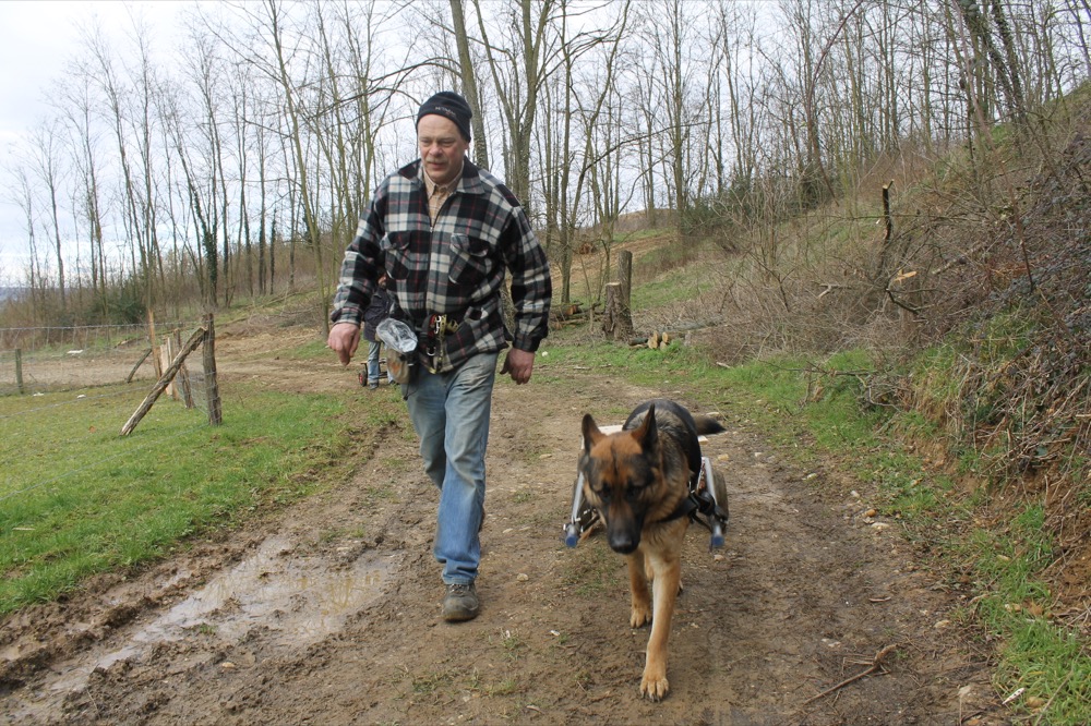 03_att-geba_george-att-comp