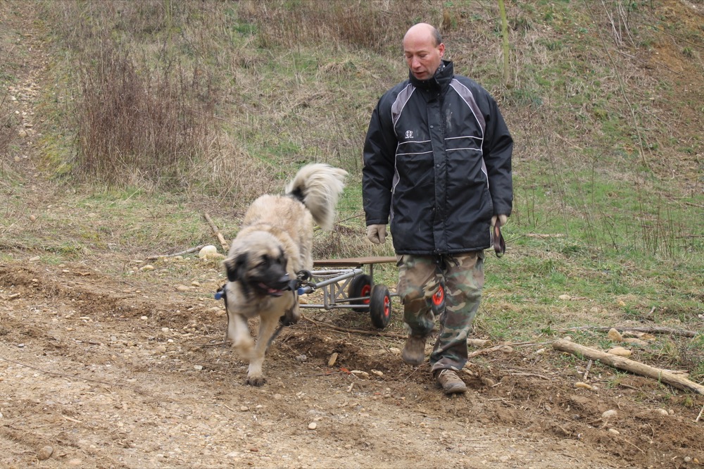 03_att-jeca_attelage-comp