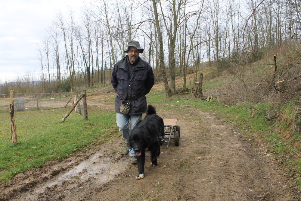 03_att-jmfe_jm-gipsy-att-comp