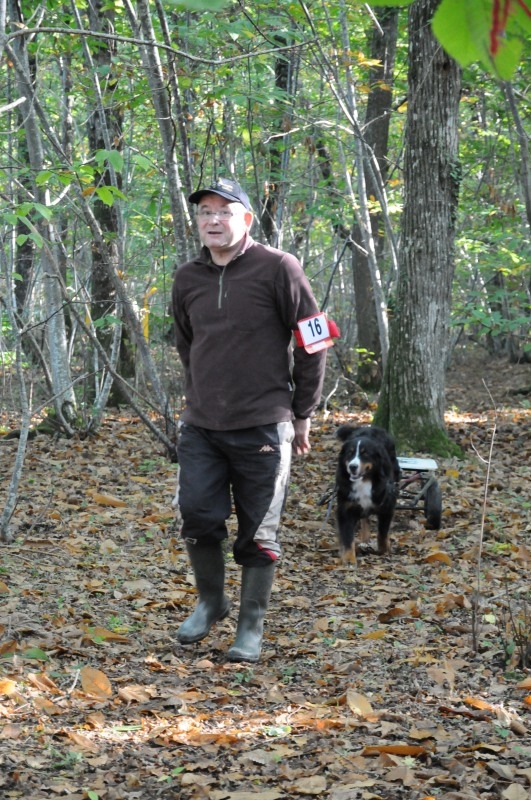 03_att_segr_galice-attelage