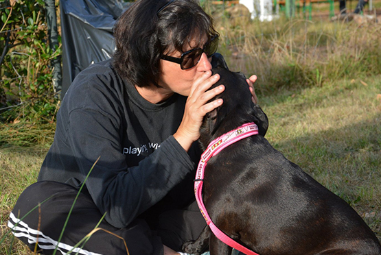 03_DIS_Educ_Entrainements1