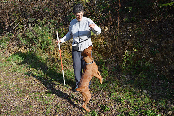 03_DIS_Obé_Entrainements2