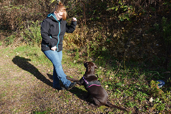 03_DIS_Obé_Entrainements3