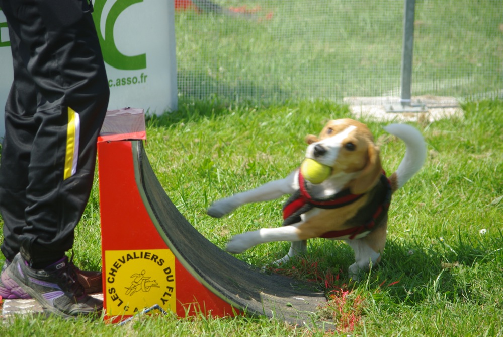 03_fly-okami-lanceur