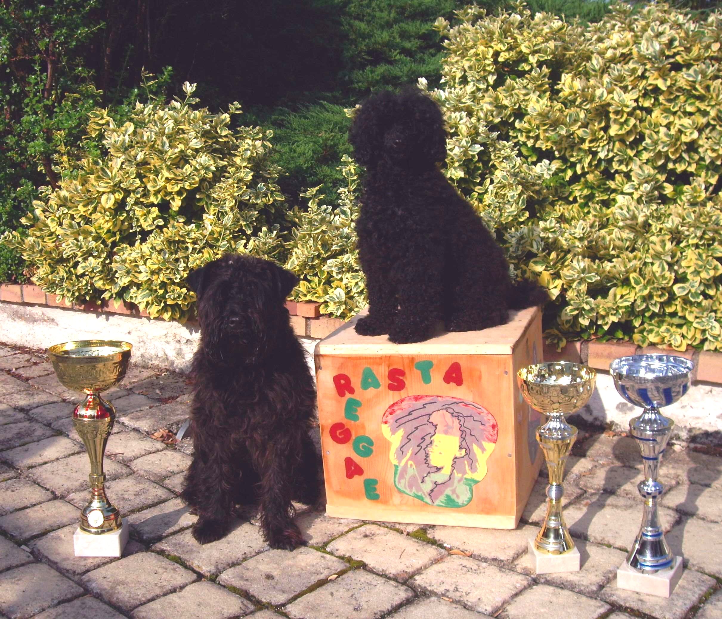 03_obe-anbu_clovis-hydill-obe