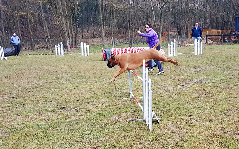 04_IntraCase_Heyota2