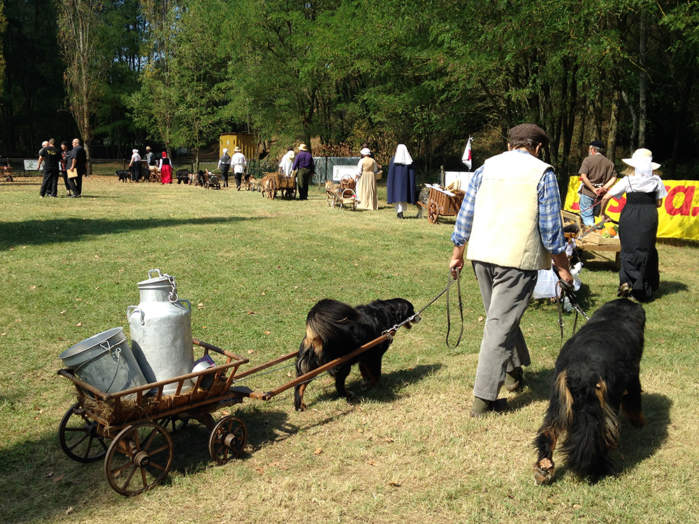 04_Attelage_Harmonie