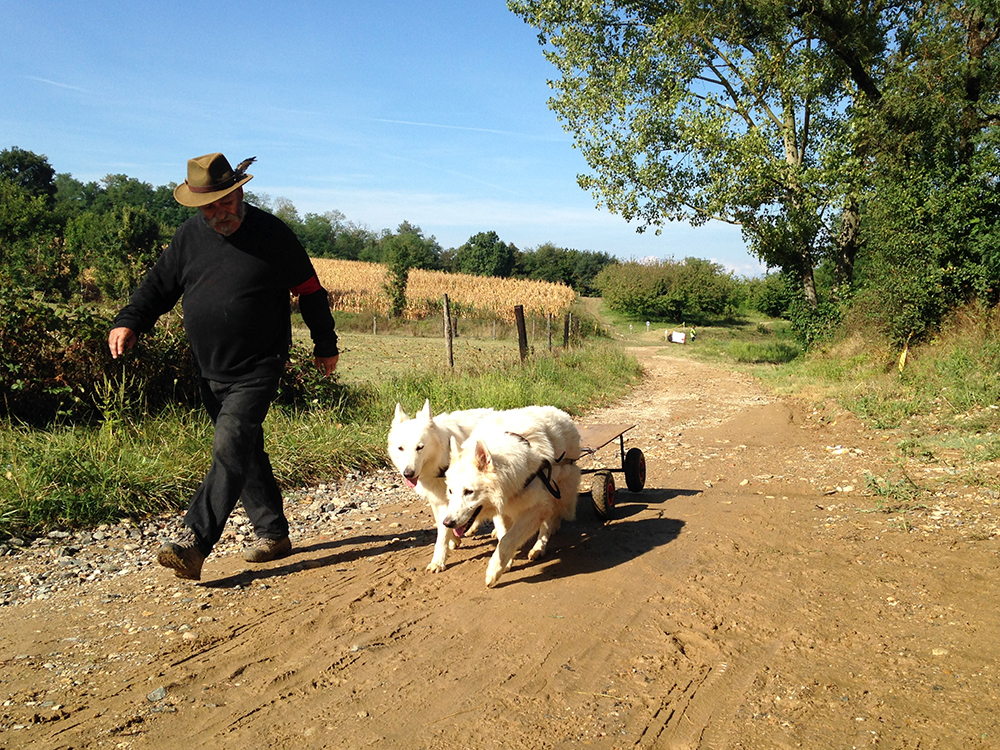 04_Attelage_Regularite