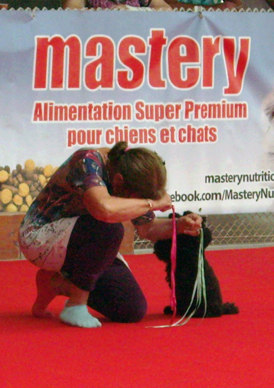 04_DogDancing2017_Annie