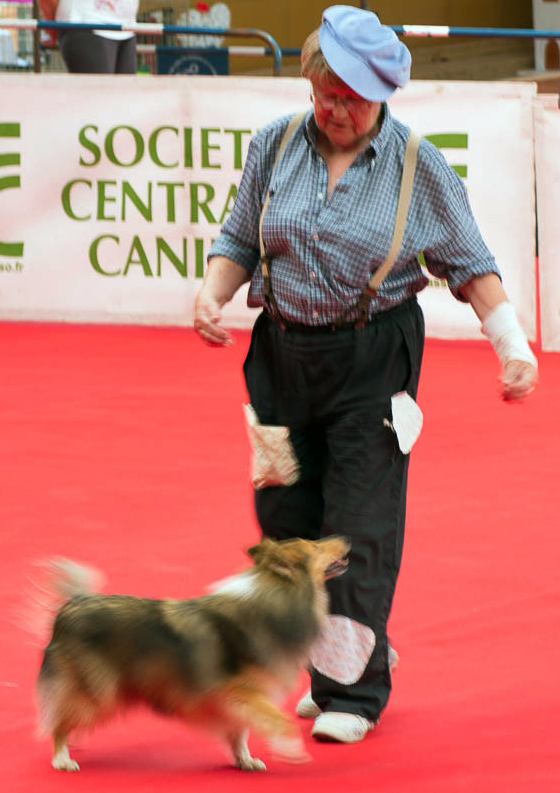 04_DogDancing2017_Christiane