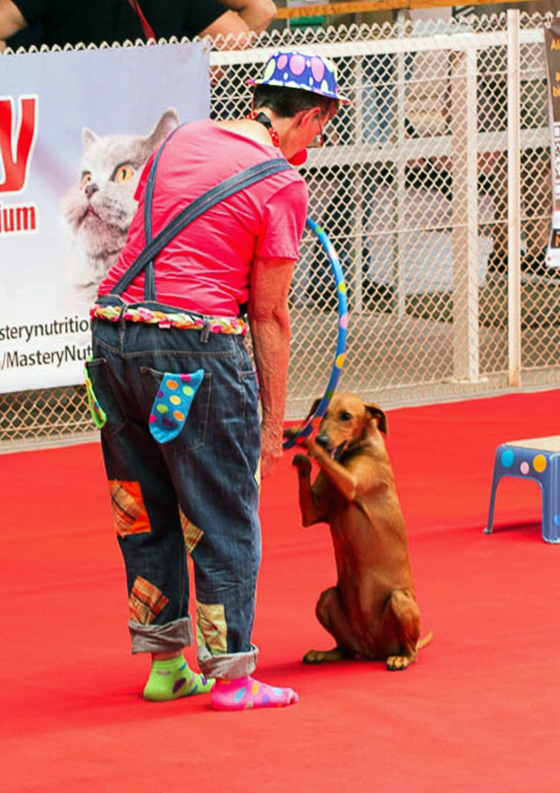 04_DogDancing2017_Francoise