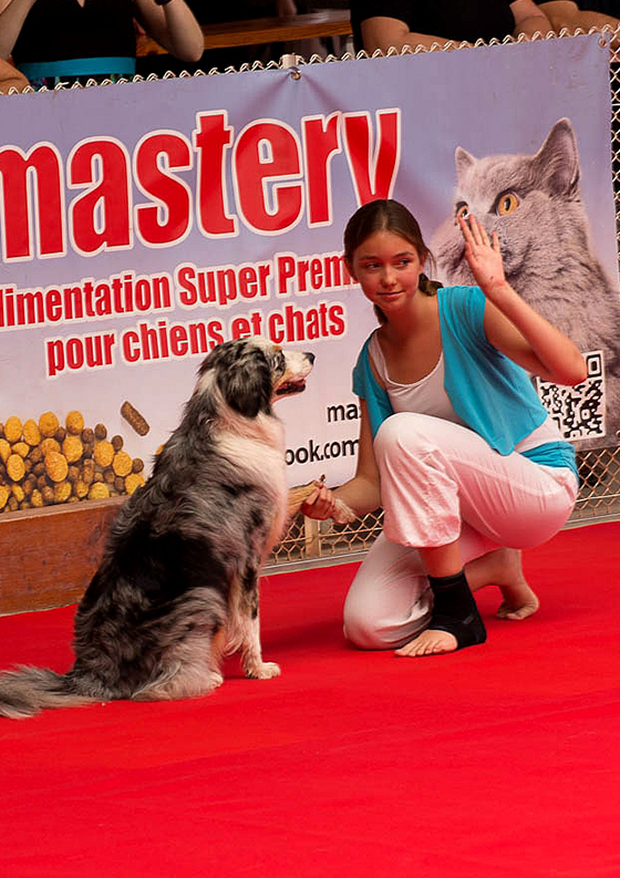 04_DogDancing2017_Soline