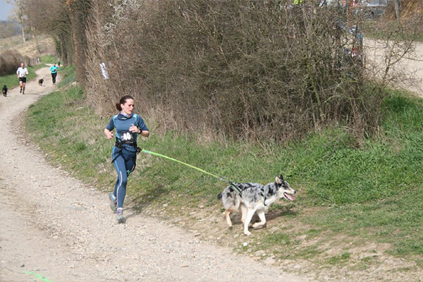 04_CaniCross2018_Cross1