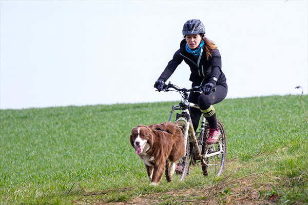 04_CaniCross2018_VTT