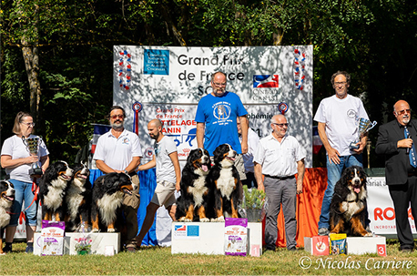 04_Attelage_GPF_Podiums_Harmonie
