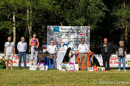 04_Attelage_GPF_Podiums_ObstaclesCl2