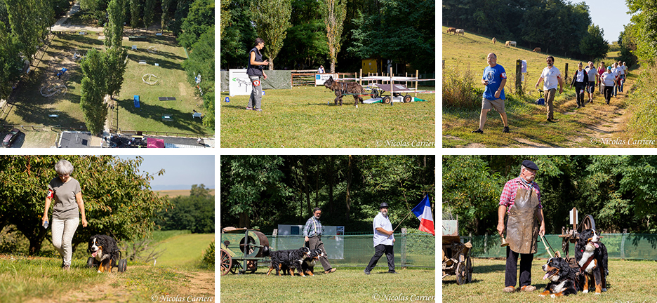 04_Attelage_GPF_Epreuves